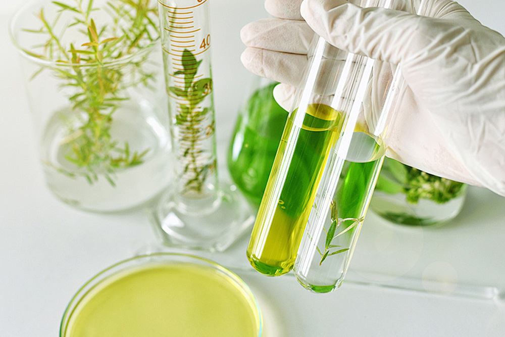What is plant extract? Today, let me take you to learn about it